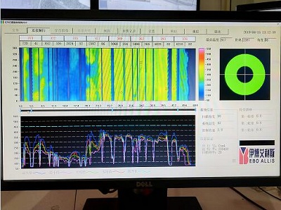 窯胴體掃描系統